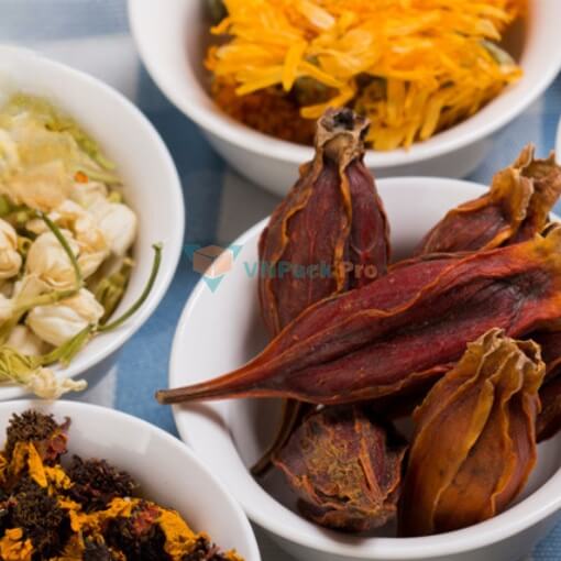 sấy dược liệu và thảo dược